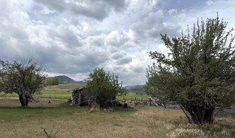 504 Lanier Rd, Challis, ID 83226