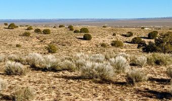 N7009 40 Acres, Chambers, AZ 86502