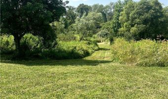 7649 County Rd 15, Angelica, NY 14709
