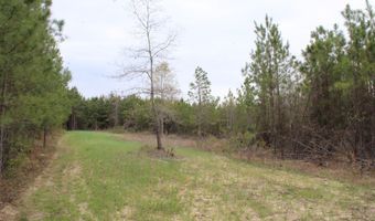 95 Herman Bell Rd, Mauk, GA 31058