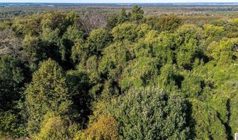 000 County Road 1320, Bardwell, KY 42023