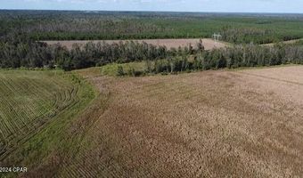 N Sr 71, Altha, FL 32421