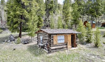 103 Main St, Almont, CO 81210