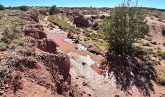 268 N 5380, Concho, AZ 85924