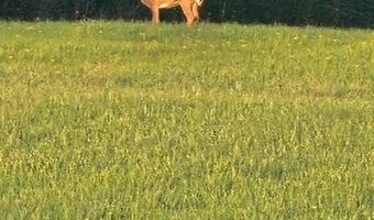1439 Twp Rd 593, Ashland, OH 44805