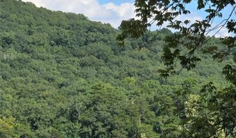 Shoreline Road 107, Badin Lake, NC 28127