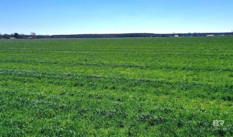 Lot 14 Davis Pond Road, Atmore, AL 36502