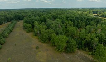 39 Acres N Pingree Rd, Alma, MI 48801