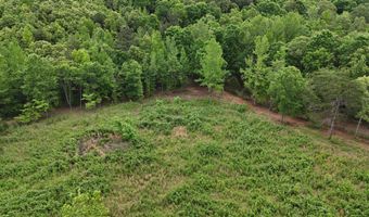 6020 Eaglewood Ln, Birchwood, TN 37308