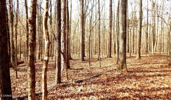 590 247 Country Rd, Bruce, MS 38915