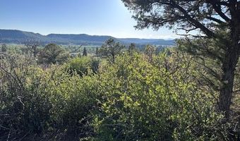 Lot 15 Primrose Lane, Bayfield, CO 81122