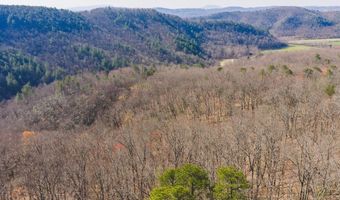 Ararat Highway, Ararat, VA 24053