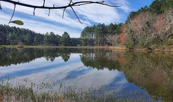 221 W 1st St, Arabi, GA 31712