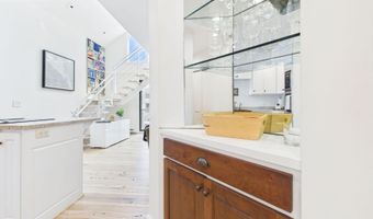 915 E Hopkins Ave 4, Aspen, CO 81611