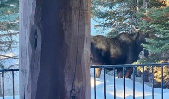 170 Hyalite Dr, Big Sky, MT 59716