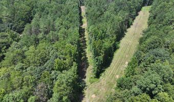 8501 Lawsontown Rd, Adger, AL 35444