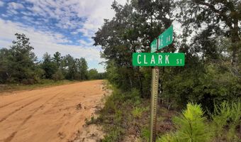 Alene Drive, Alford, FL 32420