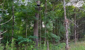 Old Moyers Road, Antlers, OK 74523