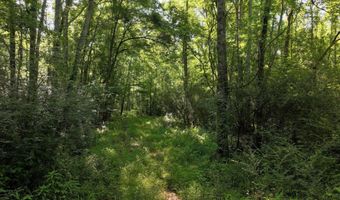 Us-51, Bogue Chitto, MS 39629