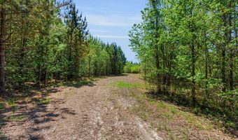 Burton Farm Road, Arapahoe, NC 28510