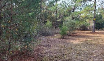 Tommy Tucker Road lot 2, Altha, FL 32421
