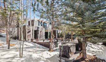 25 Nighthawk Dr, Aspen, CO 81611