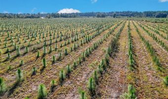 2000-4 Sellers Rd NW, Baxley, GA 31513