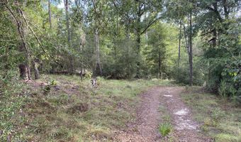 Putnam Avenue lot 31, Alford, FL 32420