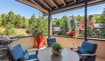 102 Wild Spring Ln, Basalt, CO 81621