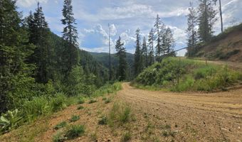 480 Dunn Peak Rd, Avery, ID 83802