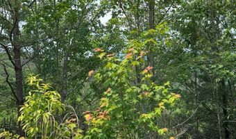 88 Acres Bolden Br, Andrews, NC 28901