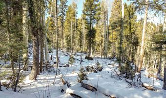 45 And 46 Sacramento Dr, Angel Fire, NM 87710