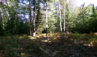 V/L 30AC Lake Winyah Road, Alpena, MI 49707