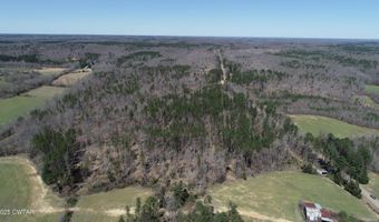 Tract 8 State Route 225, Bethel Springs, TN 38315