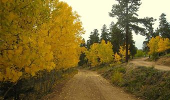 429 Road P-53 Rd, Bailey, CO 80421