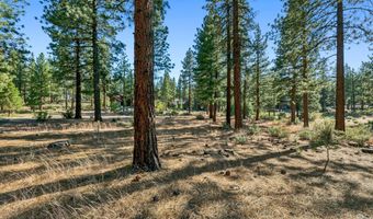 238 Redding Way, Carson City, NV 89705