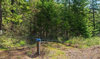 1142 Salee Creek Rd, Bayview, ID 83803