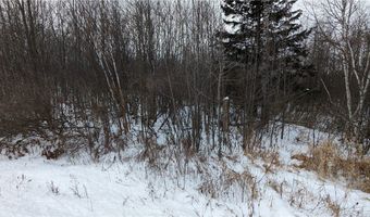 N County Highway W lot 0, Winter, WI 54896