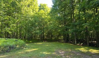 15597 BALD EAGLE Blvd, Alvin, WI 54542