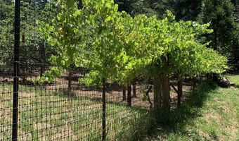 4580 OLD HOUSE CREEK Rd, Agness, OR 97406