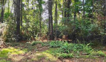 0 Lowery Rd Lot #10, Atmore, AL 36502