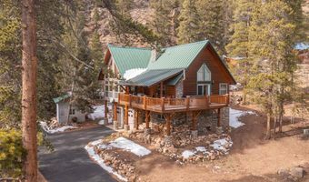 673 County Road 744, Almont, CO 81210