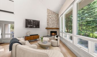 75 Bennett Ct, Aspen, CO 81611