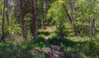 87 Flintstone Ln, Breckenridge, CO 80424