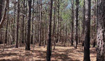 274 CR 3301, Booneville, MS 38829