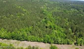 Christian Hts Road, Braxton, MS 39044