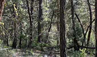 Sandpiper Ln, Beatty, OR 97621