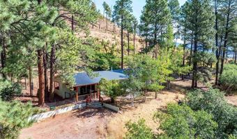 57 Pine Dr, Bayfield, CO 81122
