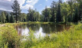65 Pinestone Dr, Bayfield, CO 81122