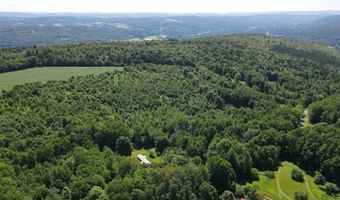 1608 Braintree Hill Rd, Braintree, VT 05060